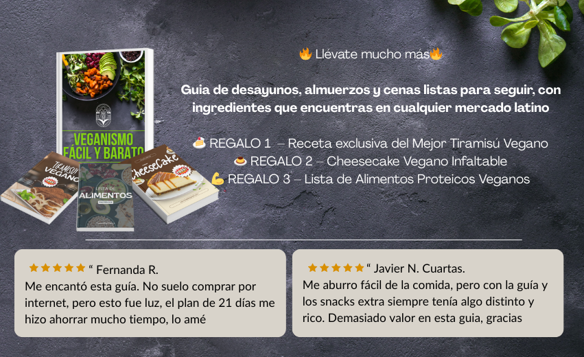 Guía digital Recetas Veganas